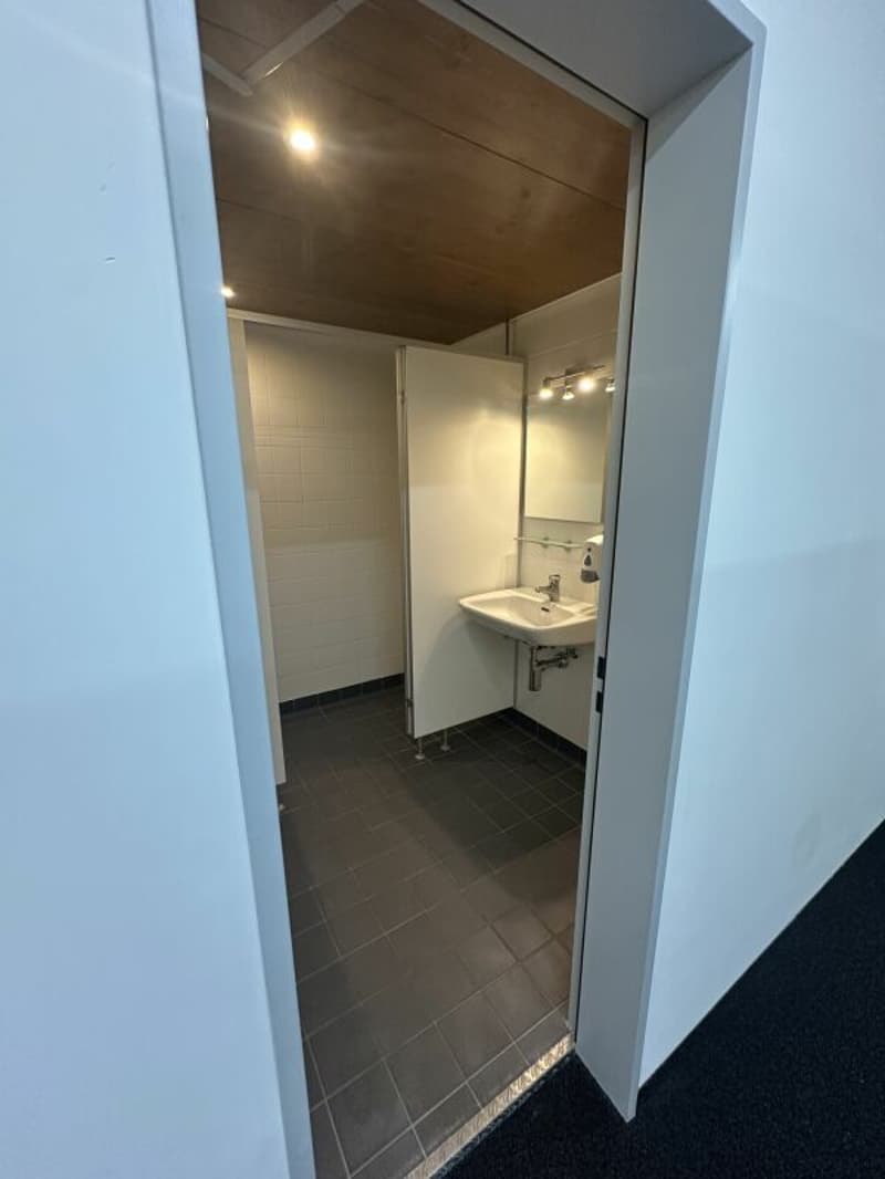 Ampio ufficio/spazi commerciali a Zürich Altstetten (14)