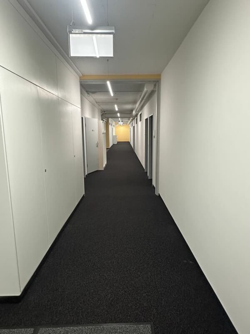 Ampio ufficio/spazi commerciali a Zürich Altstetten (11)