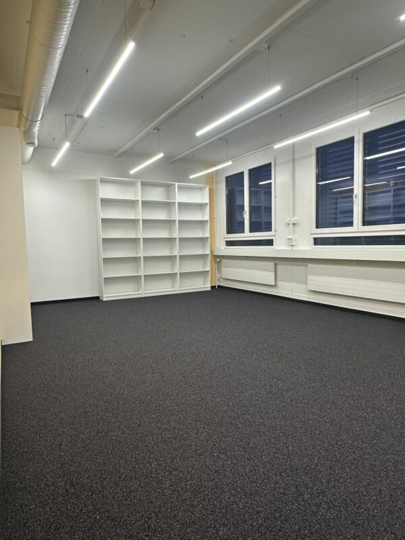 Ampio ufficio/spazi commerciali a Zürich Altstetten (6)