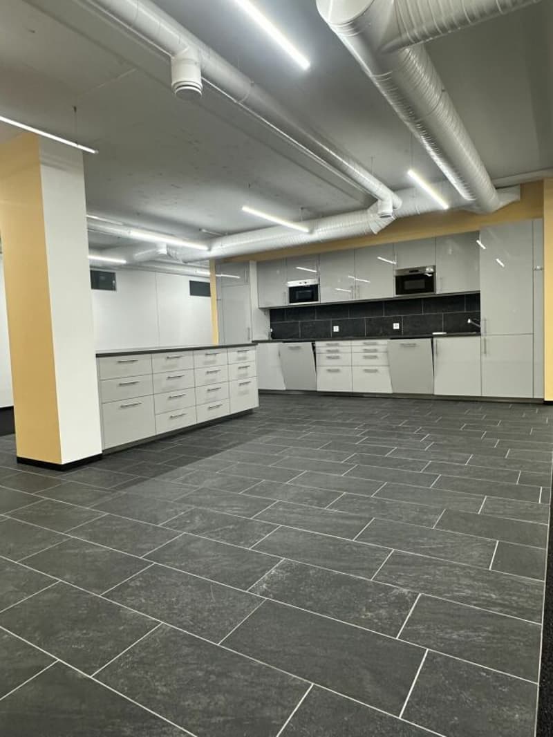 Ampio ufficio/spazi commerciali a Zürich Altstetten (2)