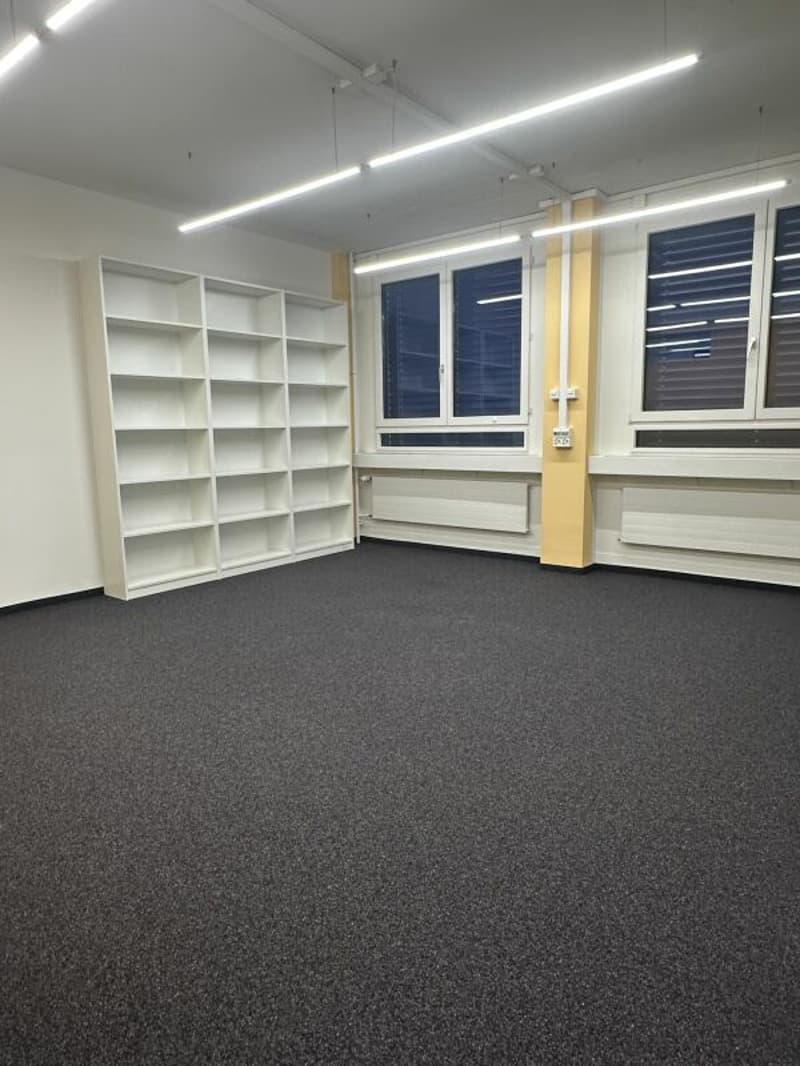 Ampio ufficio/spazi commerciali a Zürich Altstetten (8)