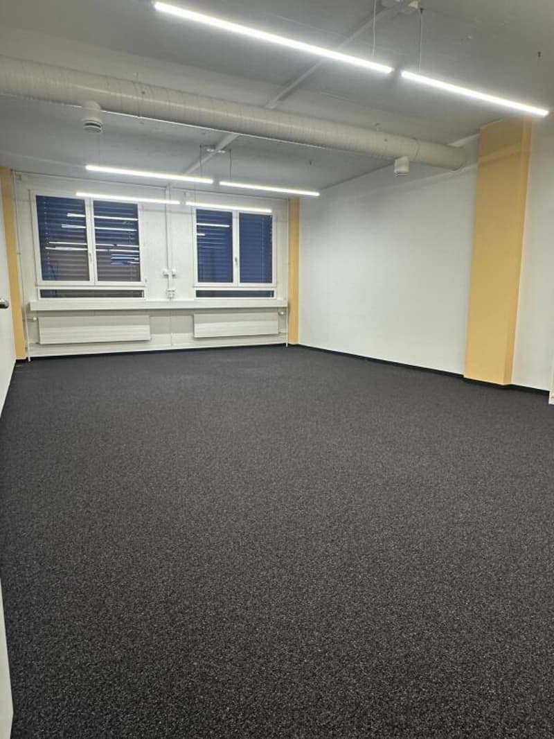 Ampio ufficio/spazi commerciali a Zürich Altstetten (7)