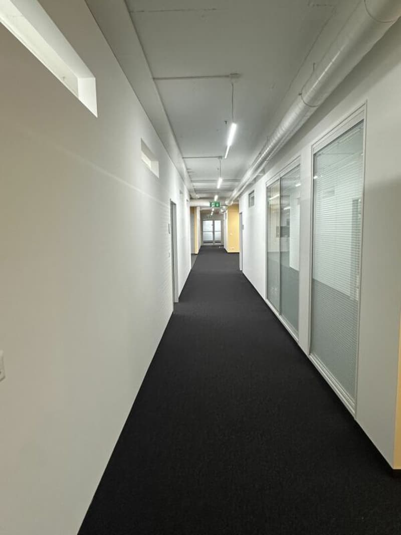 Ampio ufficio/spazi commerciali a Zürich Altstetten (10)