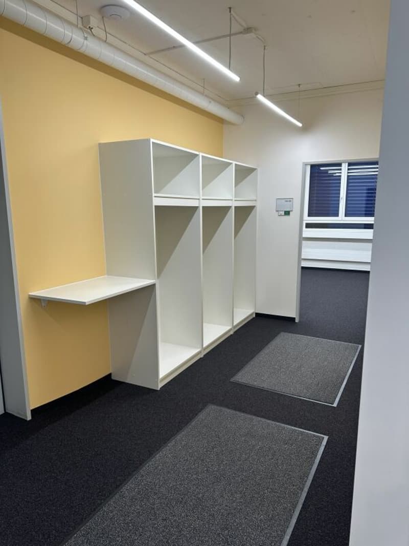 Ampio ufficio/spazi commerciali a Zürich Altstetten (3)