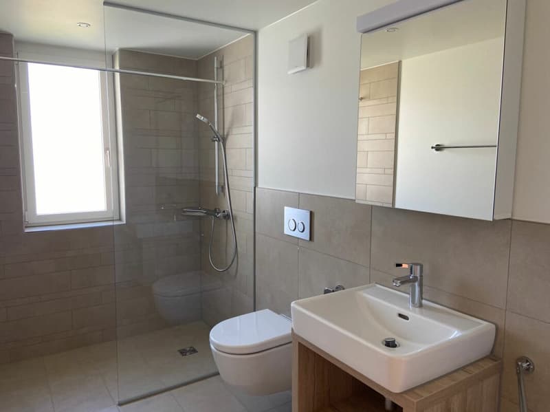 Appartamento 4.5 locali moderno in affitto (7)