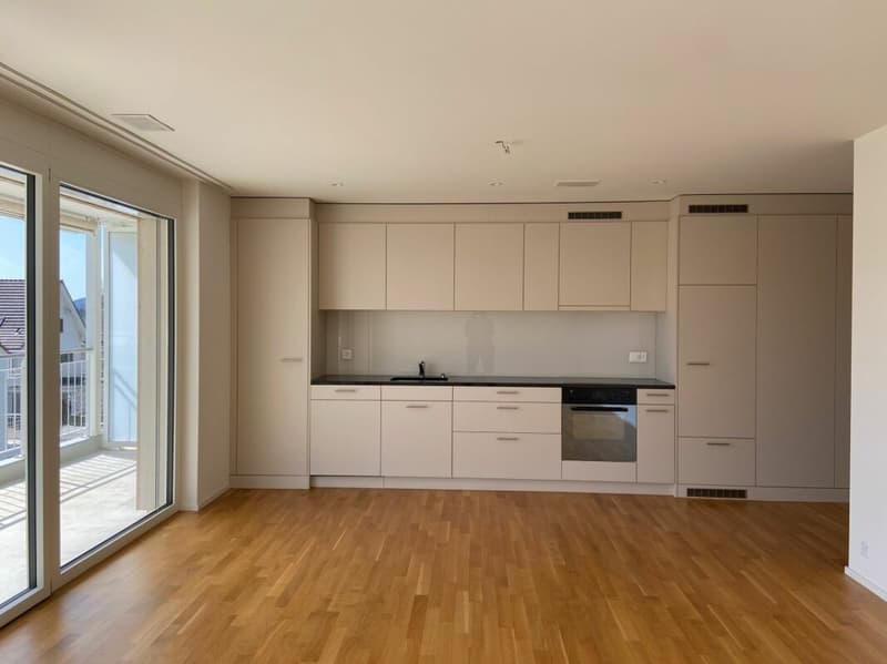 Appartamento 4.5 locali moderno in affitto (3)