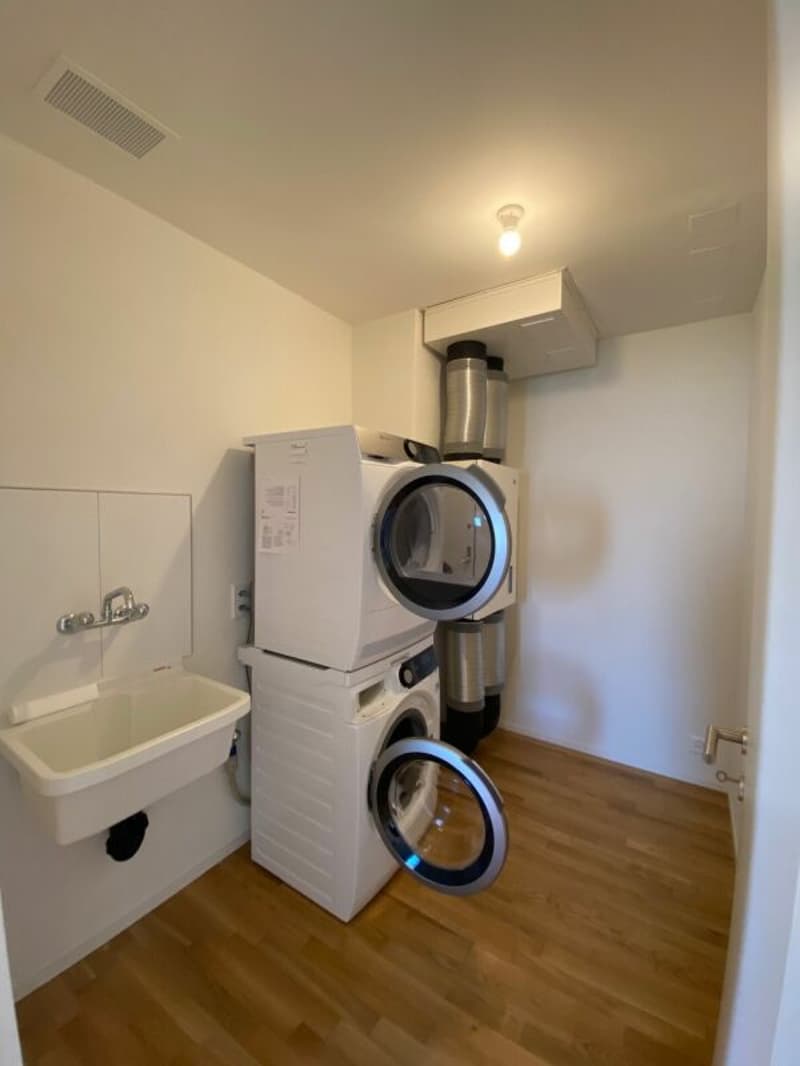 Appartamento 4.5 locali moderno in affitto (8)