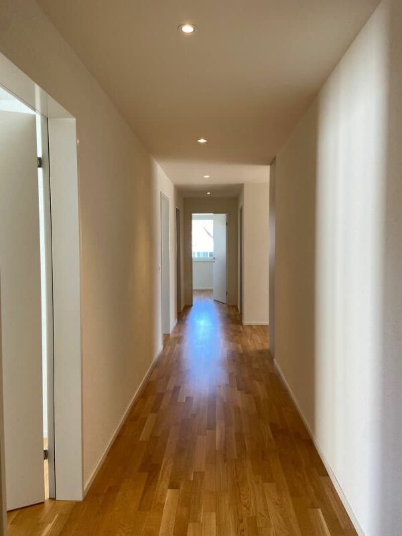 Appartamento 4.5 locali moderno in affitto (5)