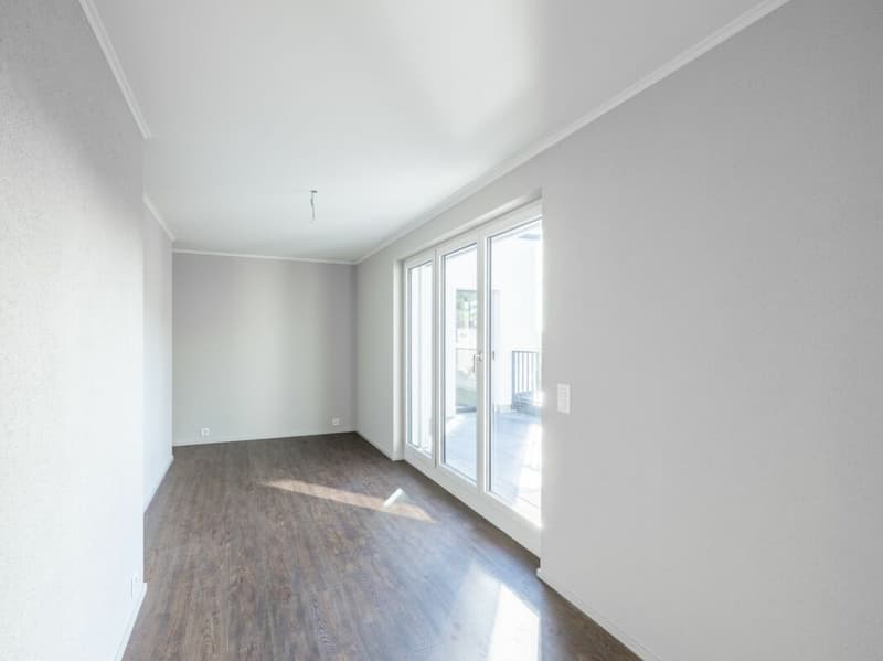 Appartamento in mansarda di 4,5 locali (3)