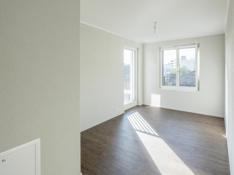 Appartamento in mansarda di 4,5 locali (4)