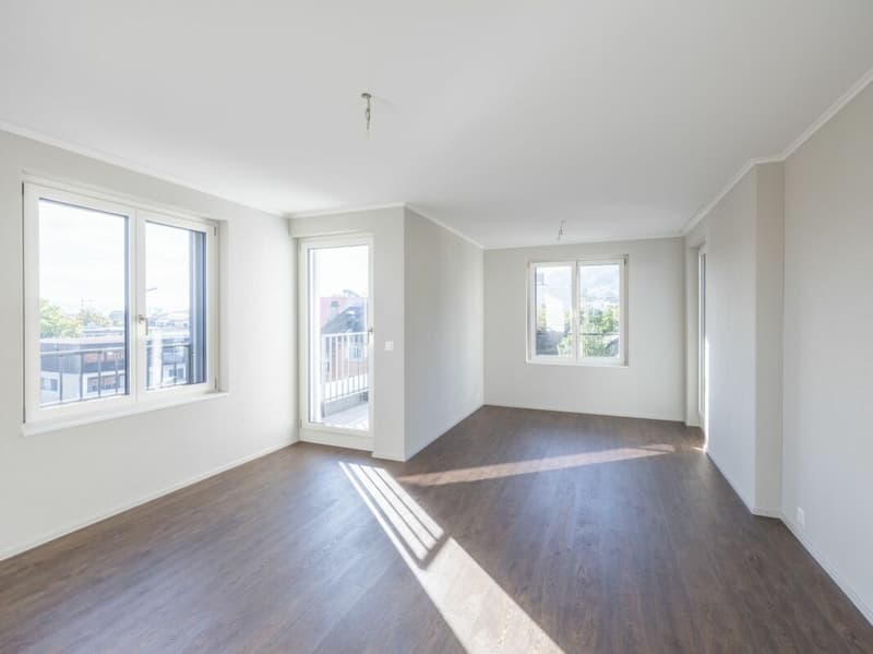 Appartamento in mansarda di 4,5 locali (2)