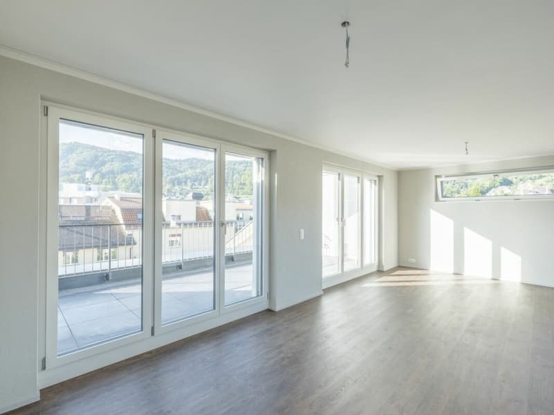 Appartamento in mansarda di 4,5 locali (5)