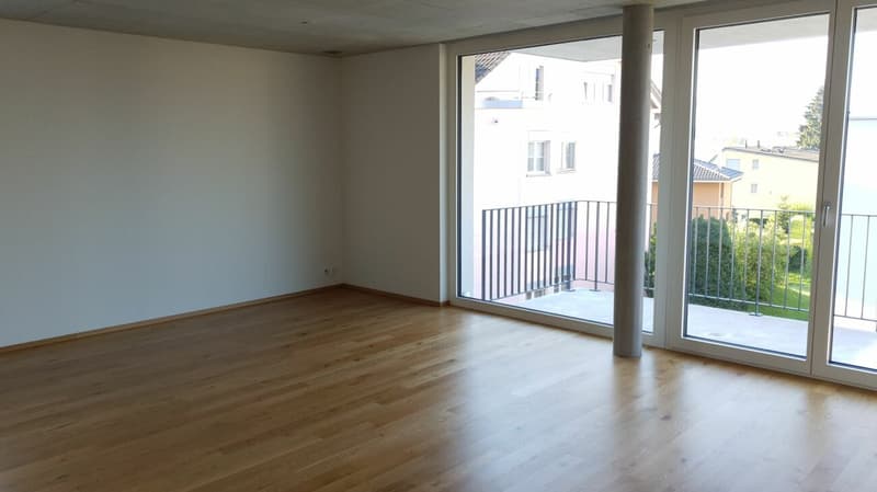 Modern 1.5-room apartment (3)