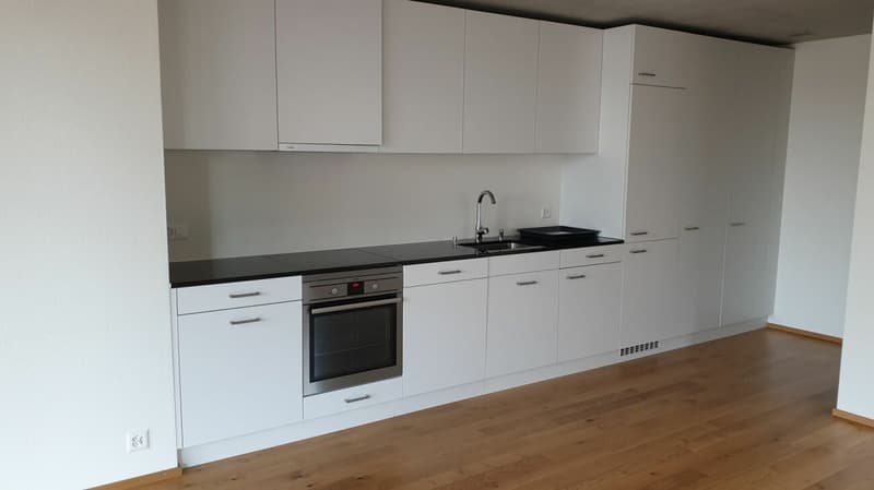 Modern 1.5-room apartment (2)