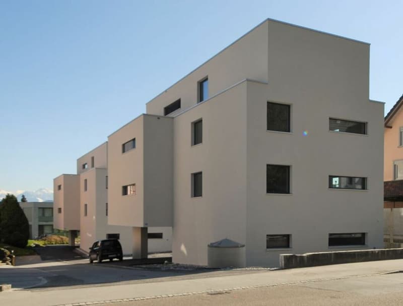 Modern 1.5-room apartment (1)