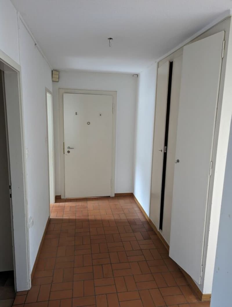 Appartamento di 3 locali con vista lago in affitto (5)