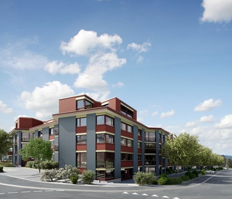 Appartamento di 3,5 locali in costruzione nuova a Dietikon (2)