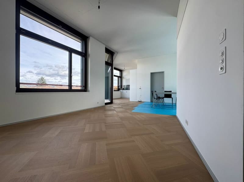 Appartamento spazioso nel nuovo progetto "Chrüzacher" (3)
