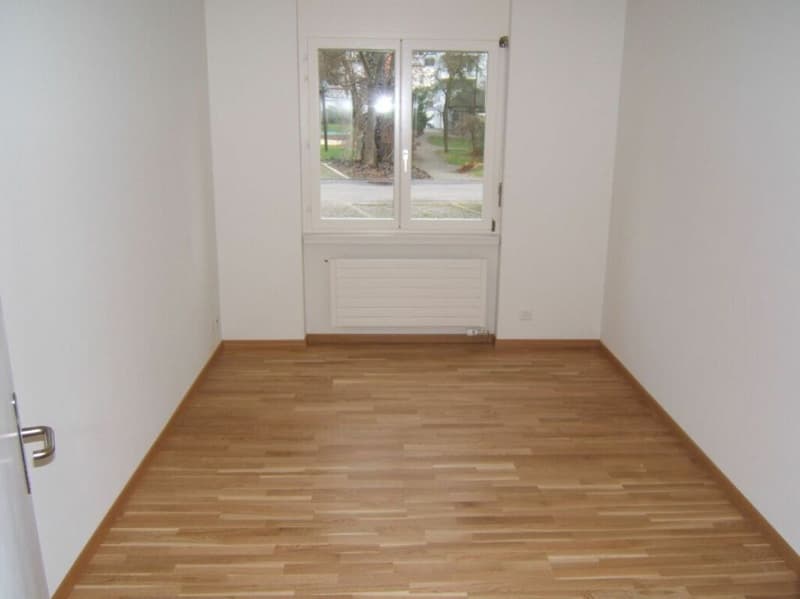 Grosszügige Attika-Wohnung zu vermieten (4)