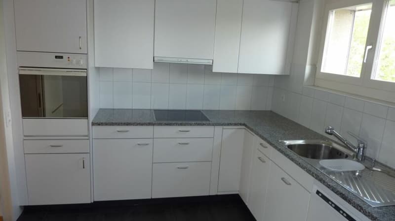 Grosszügige Attika-Wohnung zu vermieten (6)