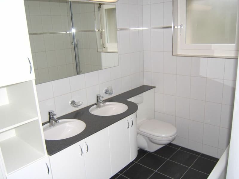 Grosszügige Attika-Wohnung zu vermieten (8)