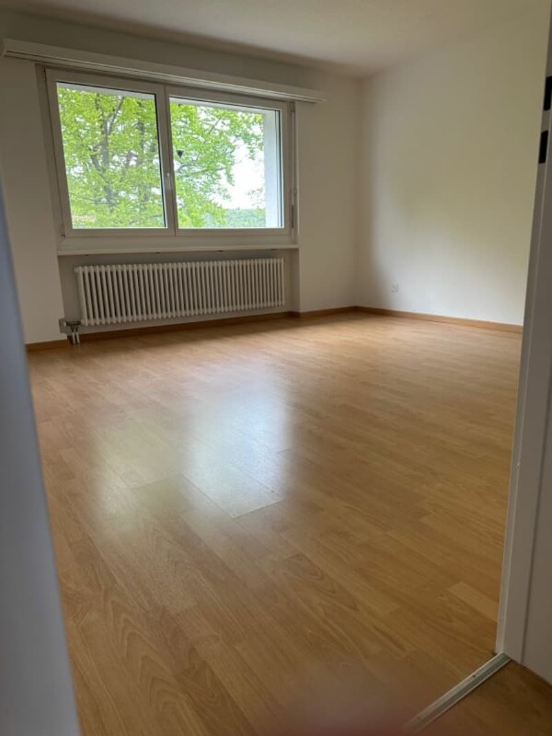 Appartement ensoleillé de 4,5 pièces avec balcon (9)