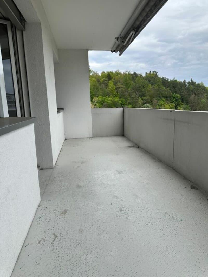 Appartement ensoleillé de 4,5 pièces avec balcon (3)