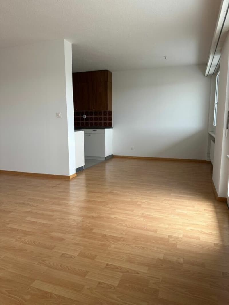 Appartement ensoleillé de 4,5 pièces avec balcon (8)