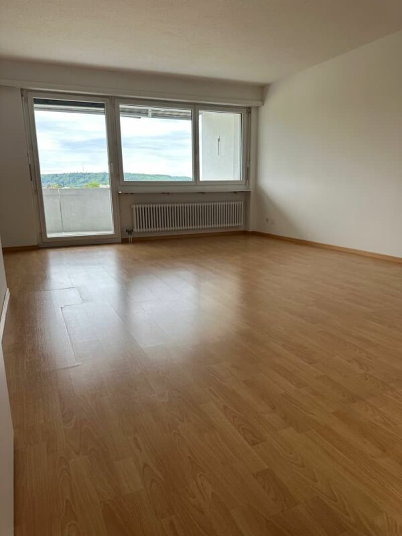 Appartement ensoleillé de 4,5 pièces avec balcon (4)