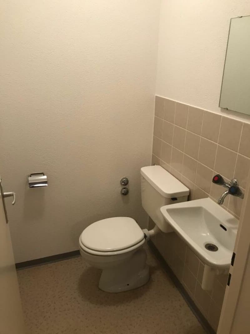 Appartement ensoleillé de 4,5 pièces avec balcon (11)