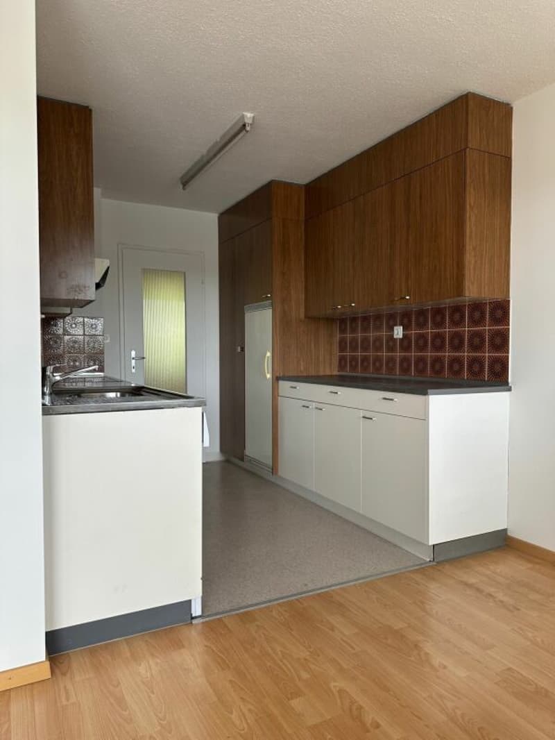 Appartement ensoleillé de 4,5 pièces avec balcon (5)