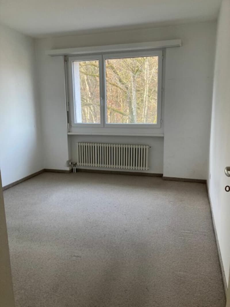 Appartement ensoleillé de 4,5 pièces avec balcon (13)