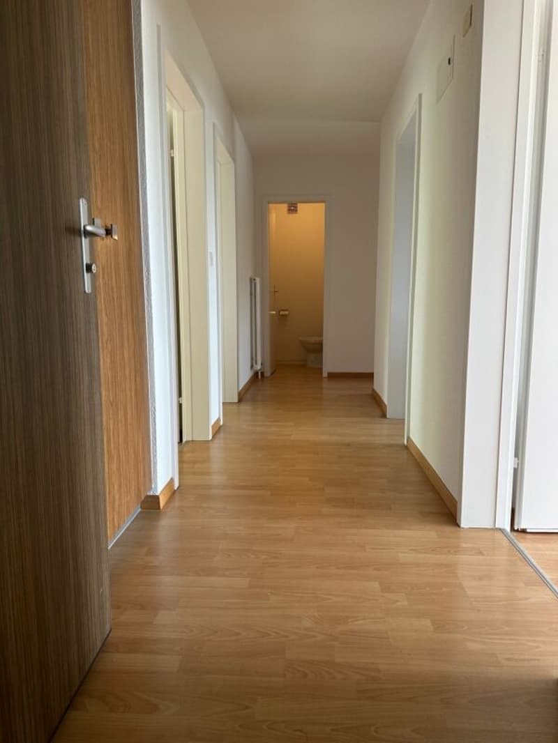 Appartement ensoleillé de 4,5 pièces avec balcon (10)