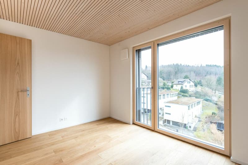 3.5 Attika Wohnung mit unverbaubarer Weitsicht (4)