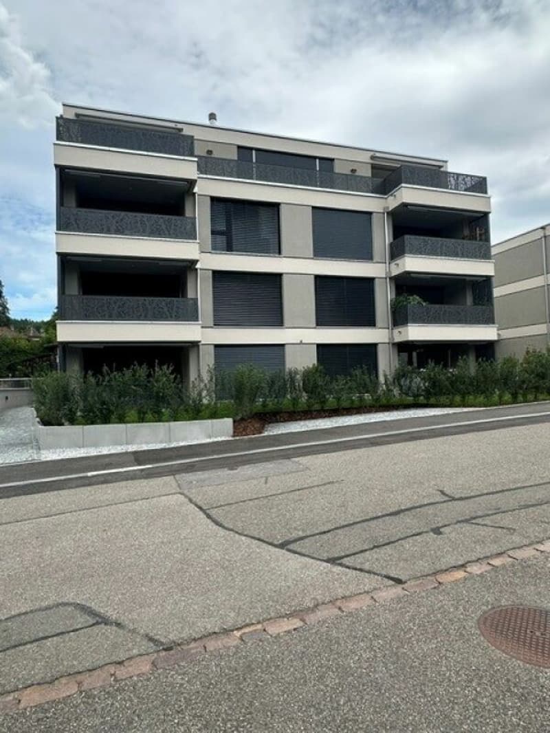 Appartamento di 3,5 locali nuovo in affitto in posizione centrale a Hedingen (1)