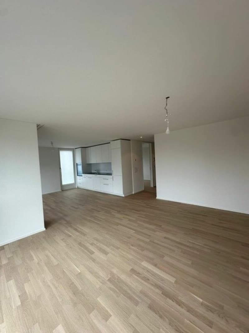 Appartamento di 3,5 locali nuovo in affitto in posizione centrale a Hedingen (3)