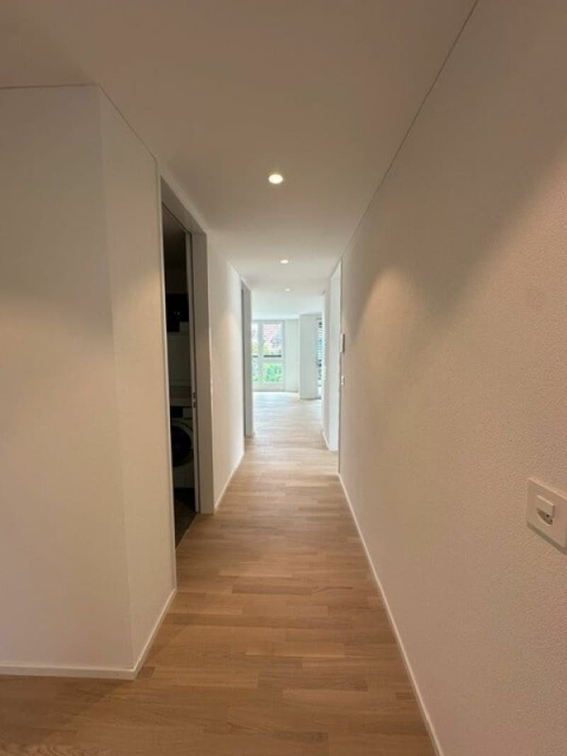 Appartamento di 3,5 locali nuovo in affitto in posizione centrale a Hedingen (5)