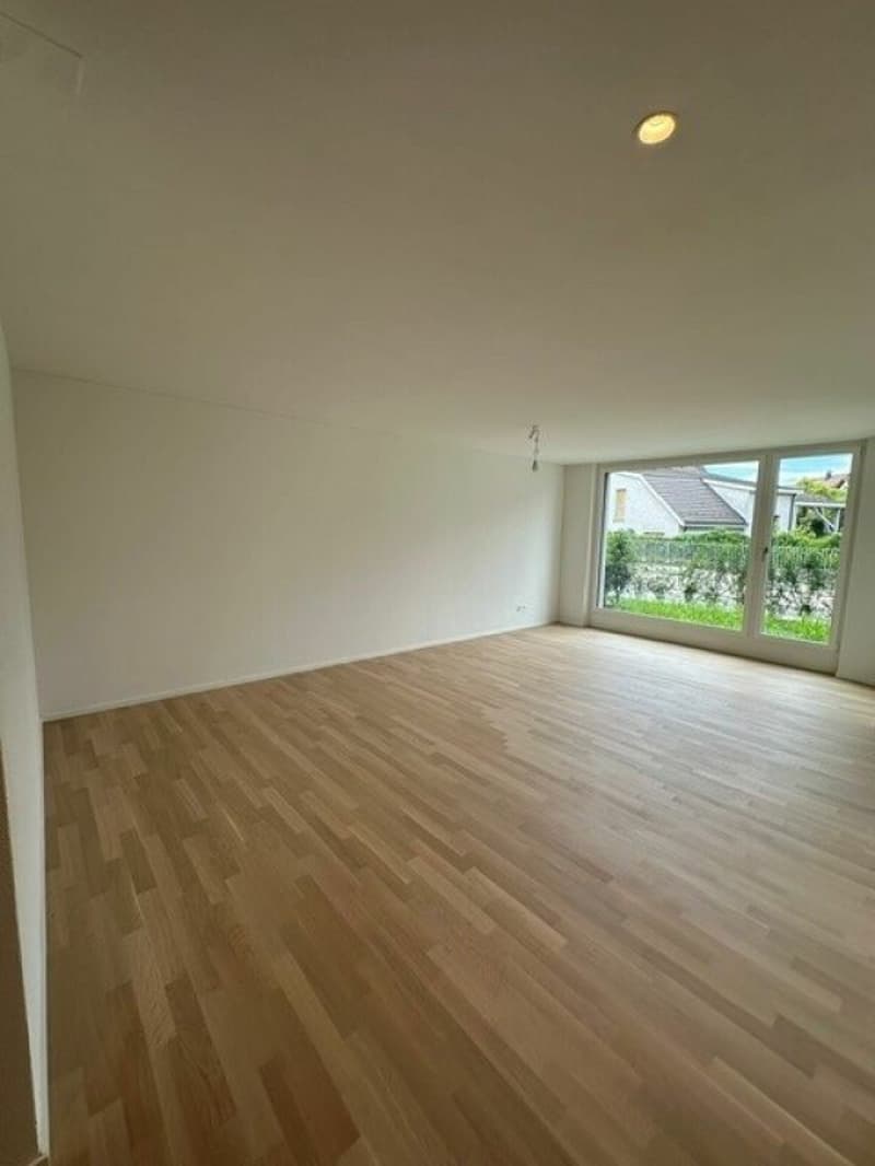 Affascinante appartamento di 2,5 locali nuovo in una posizione tranquilla a Hedingen in affitto (3)