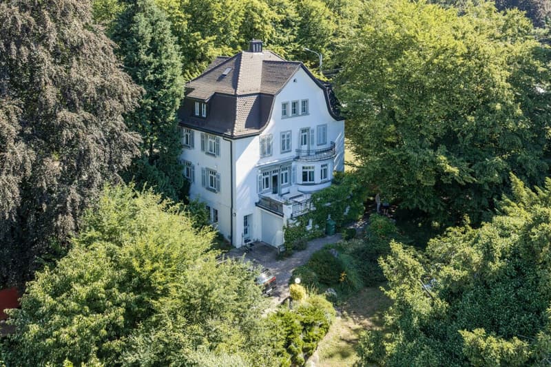 Exclusive City Villa (9.5 rooms) in a sought-after location in Zurich (1)