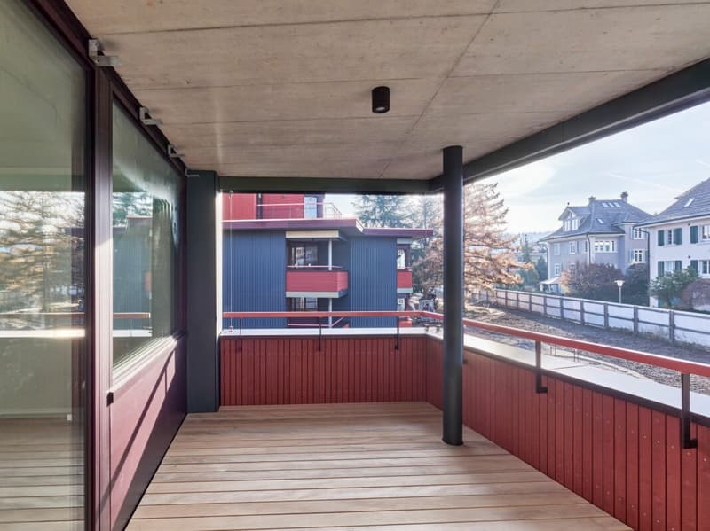 3.5 (+) -Zimmer-Neubau-Wohnung in Dietikon (9)