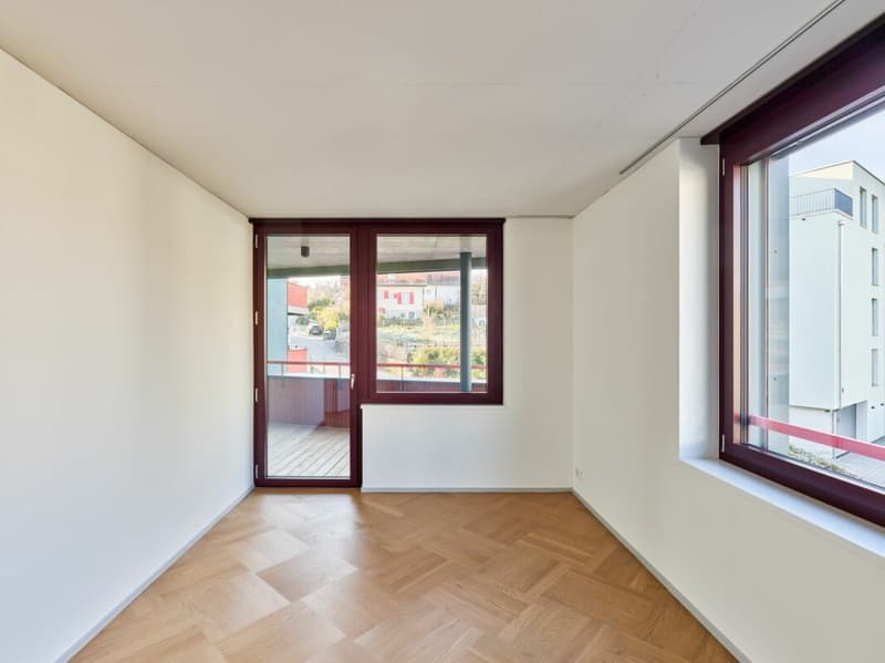 3.5 (+) -Zimmer-Neubau-Wohnung in Dietikon (6)