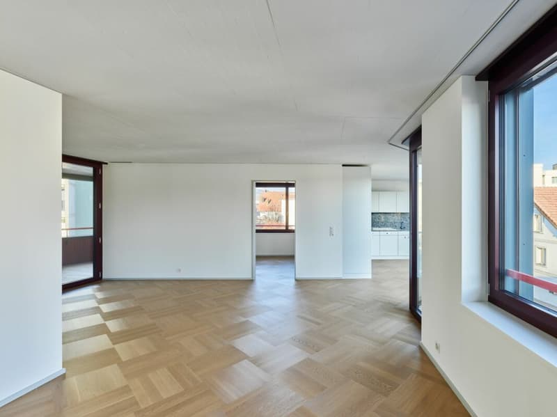 3.5 (+) -Zimmer-Neubau-Wohnung in Dietikon (3)
