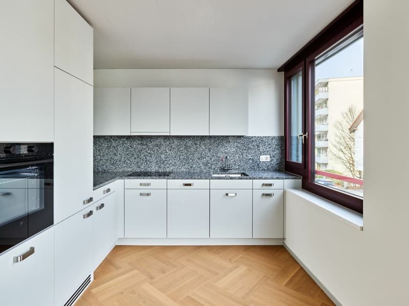 3.5 (+) -Zimmer-Neubau-Wohnung in Dietikon (4)