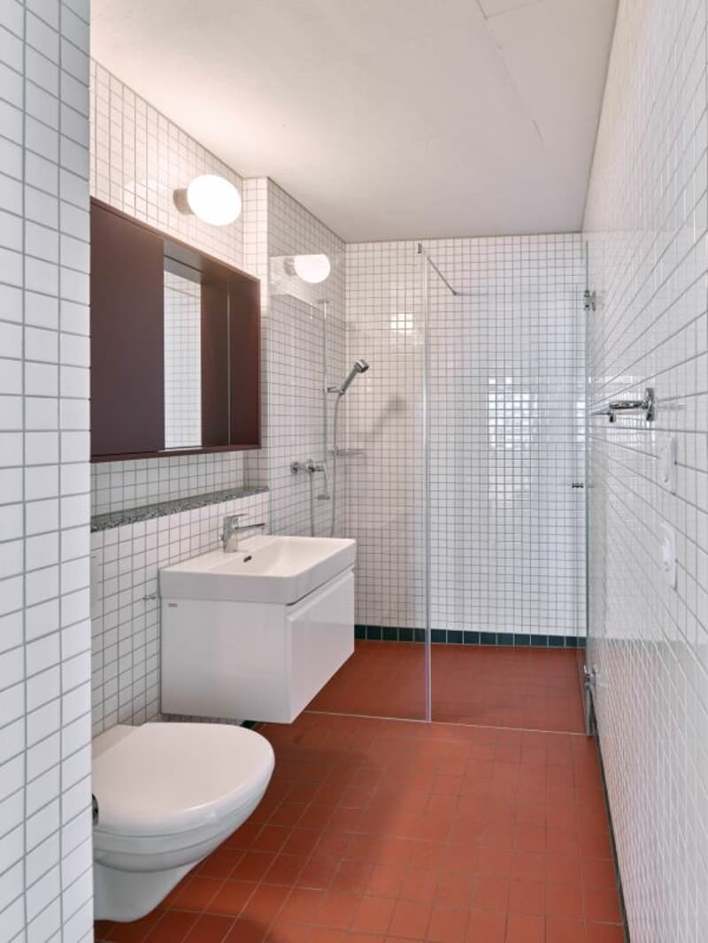 3.5 (+) -Zimmer-Neubau-Wohnung in Dietikon (7)