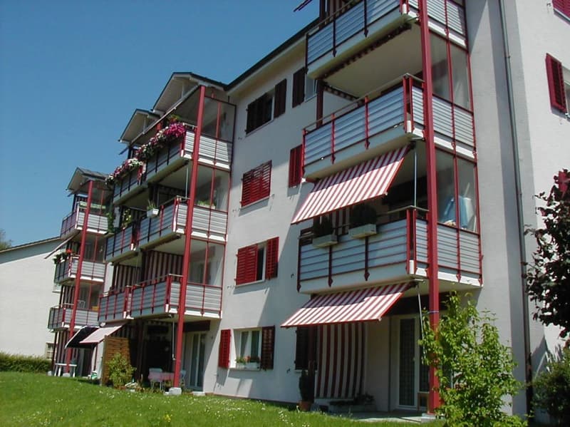 Gemütliche 2-Zimmer-Wohnung mit Balkon in Rüti (1)