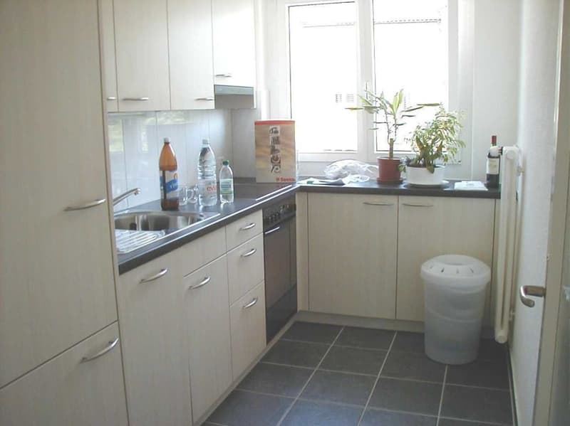 Gemütliche 2-Zimmer-Wohnung mit Balkon in Rüti (4)