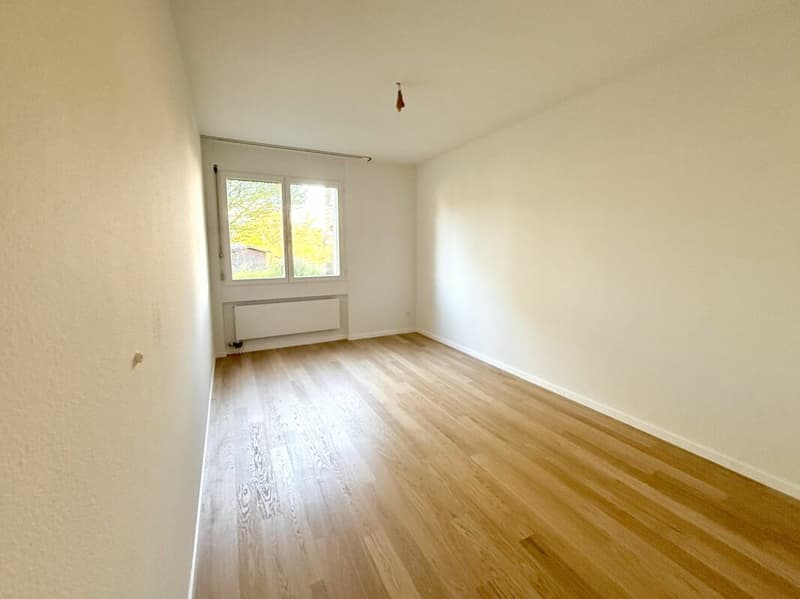 Frisch renovierte 4.5-Zimmer-Wohnung in Albisrieden (3)