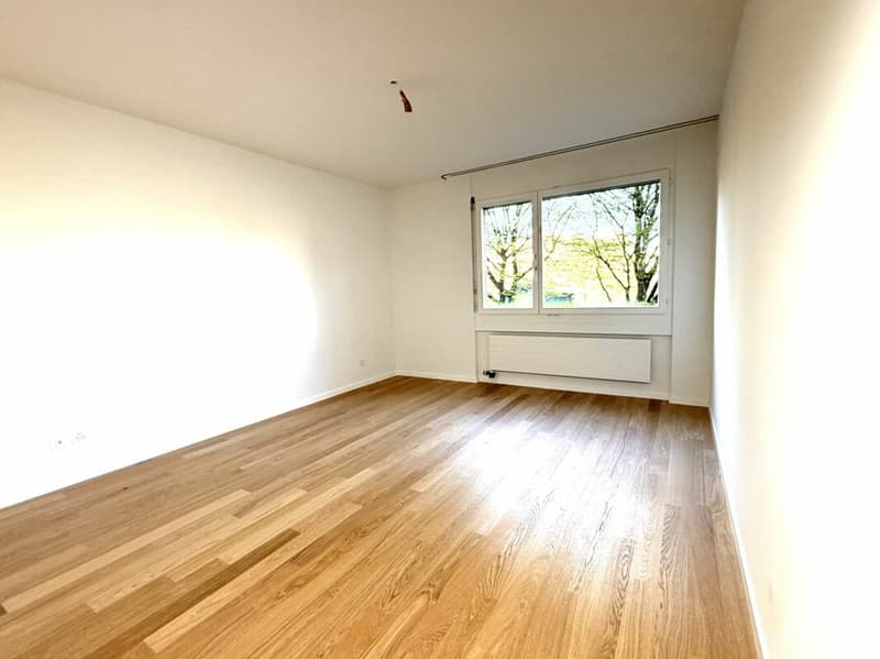 Frisch renovierte 4.5-Zimmer-Wohnung in Albisrieden (2)