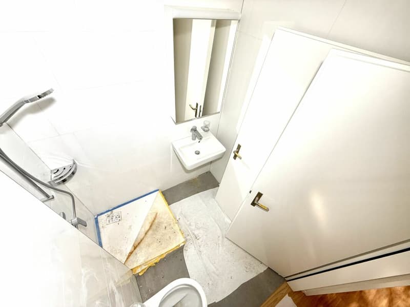 Frisch renovierte 4.5-Zimmer-Wohnung in Albisrieden (6)