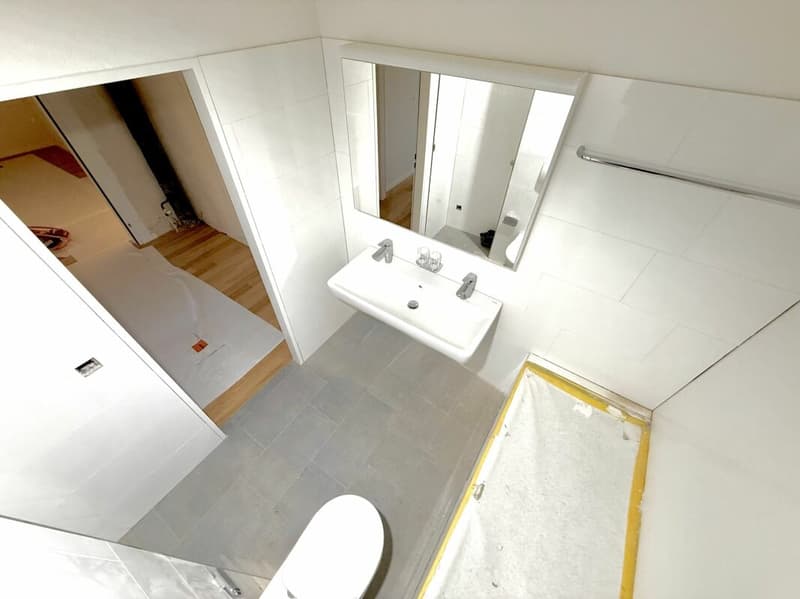 Frisch renovierte 4.5-Zimmer-Wohnung in Albisrieden (5)
